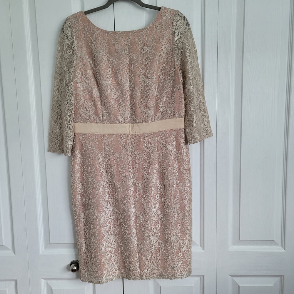 Eliza J Lace 3/4 Sleeved Dress Size 12